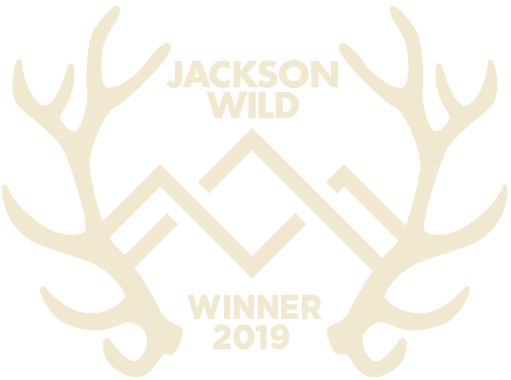 Winner Jackson Wild 2019