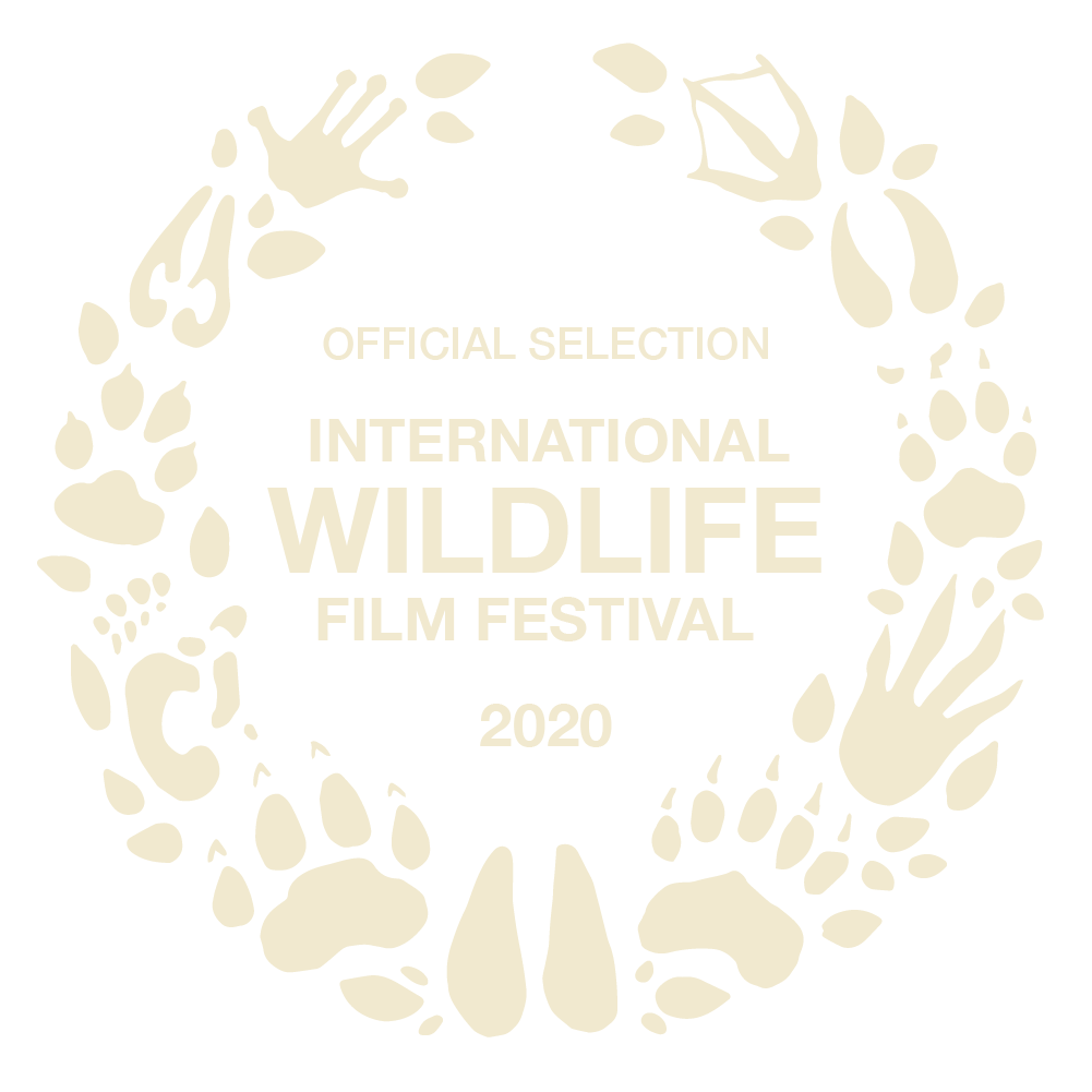 Official Selection Internation Wildlife Film Festival 2020