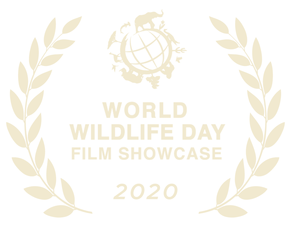 World Wildlife Day Film Showcase 2020