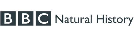 BBC Natural History
