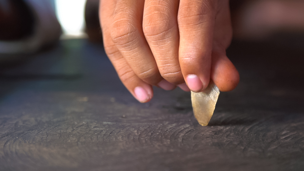 A close-up of a hand holding a single pangolin scale against a dark surface.