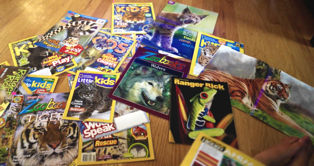 Collection of children’s wildlife magazines and animal books spread across a wooden floor, featuring wolves, tigers, bobcats, and other animals.