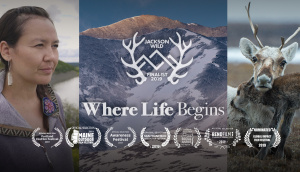 Where Life Begins - Trailer